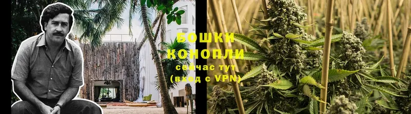 Канабис THC 21%  Дно 